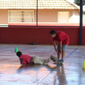 img_8546 img_8546